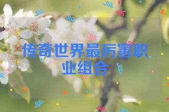 传奇世界最厉害职业组合