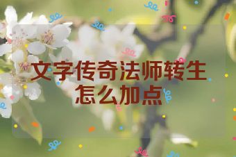 文字传奇法师转生怎么加点