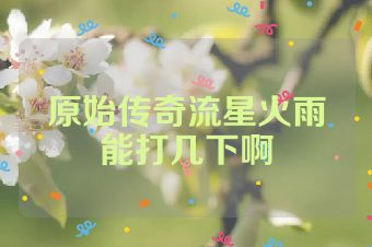 原始传奇流星火雨能打几下啊