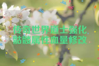 传奇世界道士强化骷髅属性血量修改