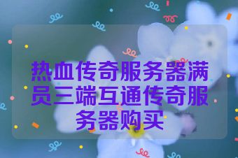 热血传奇服务器满员三端互通传奇服务器购买