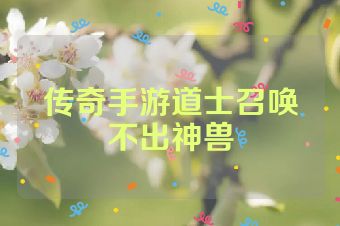 传奇手游道士召唤不出神兽