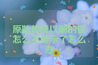 原始传奇以前的区怎么不显示了怎么办