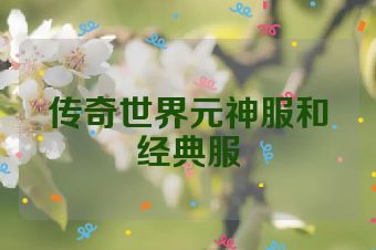 传奇世界元神服和经典服