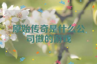 原始传奇是什么公司做的游戏