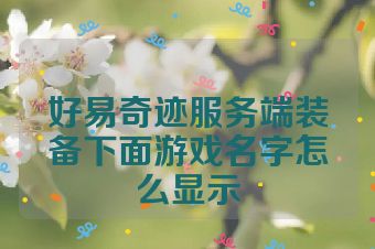 好易奇迹服务端装备下面游戏名字怎么显示