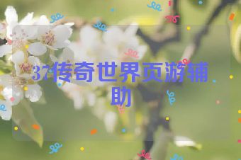 37传奇世界页游辅助