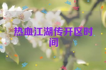 热血江湖传开区时间
