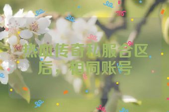 热血传奇私服合区后，相同账号