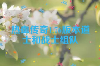 热血传奇1.76版本道士和战士组队