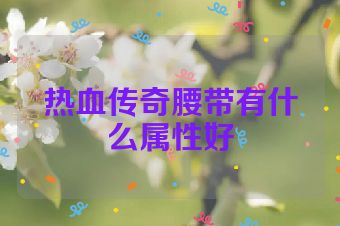 热血传奇腰带有什么属性好