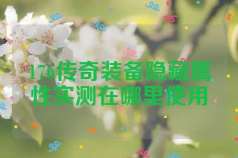 176传奇装备隐藏属性实测在哪里使用