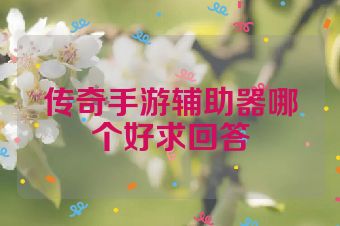 传奇手游辅助器哪个好求回答