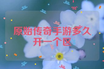 原始传奇手游多久开一个区