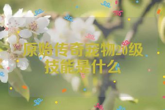 原始传奇宠物20级技能是什么