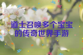 道士召唤多个宝宝的传奇世界手游