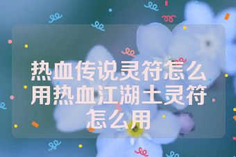 热血传说灵符怎么用热血江湖土灵符怎么用