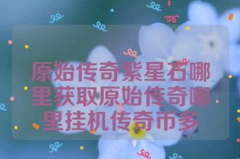 原始传奇紫星石哪里获取原始传奇哪里挂机传奇币多