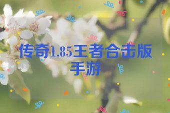 传奇1.85王者合击版手游