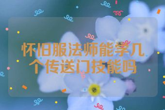 怀旧服法师能学几个传送门技能吗