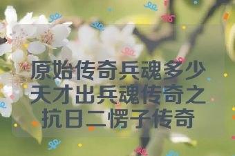 原始传奇兵魂多少天才出兵魂传奇之抗日二愣子传奇