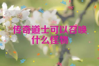 传奇道士可以召唤什么怪物
