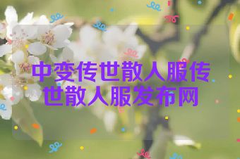 中变传世散人服传世散人服发布网