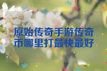 原始传奇手游传奇币哪里打最快最好
