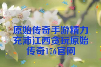 原始传奇手游精力充沛江西贪玩原始传奇176官网
