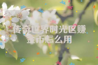 传奇世界时光区赚金币怎么用
