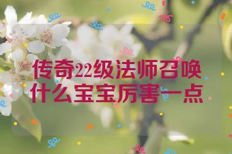 传奇22级法师召唤什么宝宝厉害一点