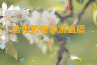 合击传奇手游直播