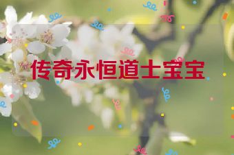 传奇永恒道士宝宝