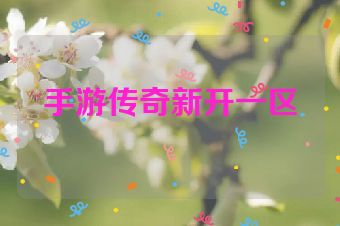 手游传奇新开一区