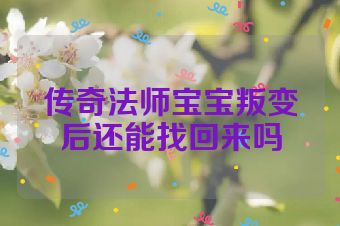 传奇法师宝宝叛变后还能找回来吗