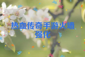 热血传奇手游火墙强化