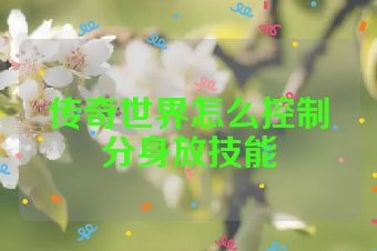 传奇世界怎么控制分身放技能