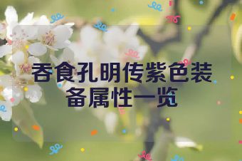 吞食孔明传紫色装备属性一览