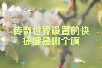 传奇世界设置的快捷键是哪个啊