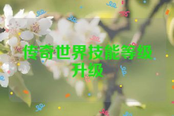 传奇世界技能等级升级