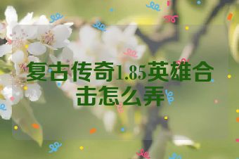 复古传奇1.85英雄合击怎么弄