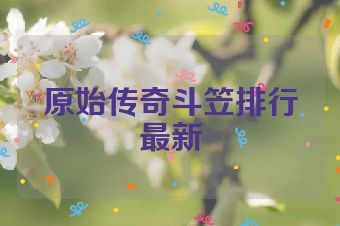 原始传奇斗笠排行最新