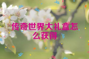 传奇世界大礼盒怎么获得