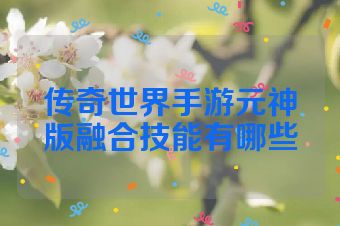 传奇世界手游元神版融合技能有哪些