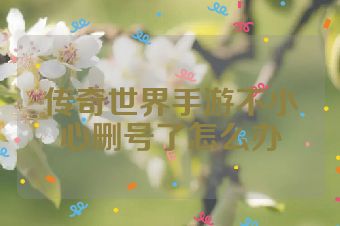 传奇世界手游不小心删号了怎么办