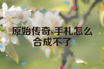 原始传奇s手札怎么合成不了
