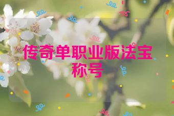 传奇单职业版法宝称号