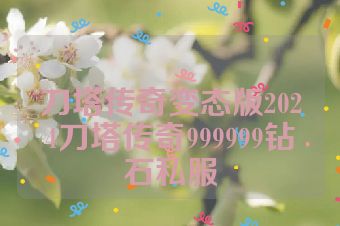 刀塔传奇变态版2024刀塔传奇999999钻石私服