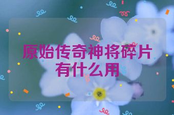 原始传奇神将碎片有什么用