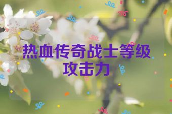 热血传奇战士等级攻击力